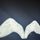 황토모텔 이미지