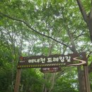 선운