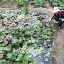 찬우물약수터 이미지