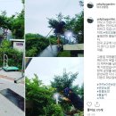 시리미로 이미지