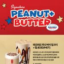 뵈르뵈르 이미지