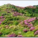 정희목장 이미지