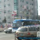 제부여객(주) 이미지