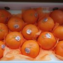 승환농장 이미지