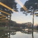 (주)마니커포천지점 | [필로스cc]라운딩 보다 뷔페가 땡긴다면 필로스로 가셔라~