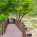 예해든펜션 이미지