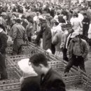 울산 복산동 우시장 (1960년대 초반) 이미지