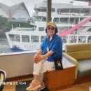 일본 자유여행?? 이미지