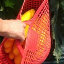 성서농협 본점 이미지