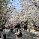 [2022년] 4월의 구울로그