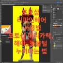 리파인헤어 이미지