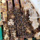 동녁농장 이미지