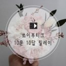 쏘이부티크