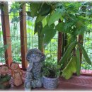 철성농장 이미지