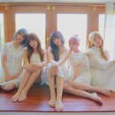 팝콘N