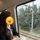 궁전가구 | 유럽여행 🇪🇺 프랑스 파리 1일차 🇫🇷 (에펠탑 근처 맛집 수프렌 suffren, 베르사유 궁전, 에펠탑)