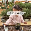 흙뿌리 농장 | 서울근교 체험 : 온유원 농장체험 아기랑 33개월