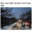 아이조아 캣파크 서울점 | 24 겨울 유댕