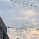 도리소반수성점 | 220604 토