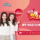모마 이미지