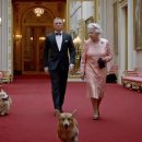 왕실동물병원 이미지