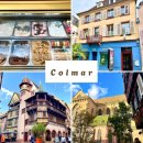 어린이체스B | 프랑스 콜마르 | 장난감 박물관, 무조건 가야 할 젤라또 맛집, 메종 피스테르, 생 마르탱 성당