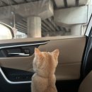 한솔빌딩.구미도서관 이미지