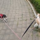 계룡목장 이미지