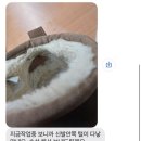 명품세탁프로캠 이미지