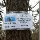 지죽 이미지