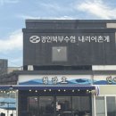 수광호 | 강화도 밴댕이회 맛집 청강호, 제철이라 더 고소했던 벤댕이회 포장 후기