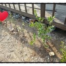 주형농장 이미지