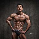 스타빌리 네이버블로그