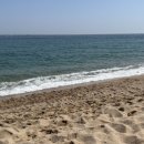 바다정원 이미지