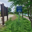 대성리역 비원식당 민물매운탕 후기