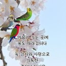 도깨비 계곡산장 이미지