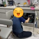 전북광고 | [광고x] 내돈내산 바퀴벌레 찐 퇴치 후기 (전북 방역업체 추천)