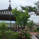 밴드공인중개사사무소 이미지