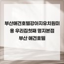 부산 애견호텔 강아지 유치원 미용 우리집첫째 명지본점 이미지