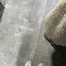 사랑해 엄마(평일) 이미지