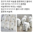 궁떡집 이미지