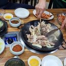 개미산곰장어 이미지