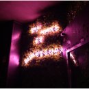 라운지독 이미지