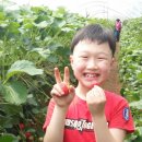 현민농장 이미지