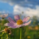 (주)운정골 이미지