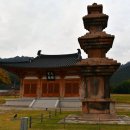 문화마당(1209) | 직원들과 함께한 전남강진여행 월남사지,백련사,가우도출렁다리,사의재(2024.11.15)