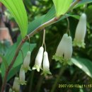 장성쌍방울 이미지