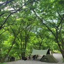 하늘땅별땅 캠핑장 | 경기도 계곡캠핑, 가평 하늘땅별땅캠핑장 솔직후기.(feat. 사장님 추천명당)