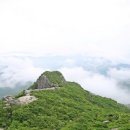 가야산금바우펜션