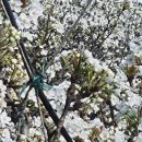 성립농장 이미지